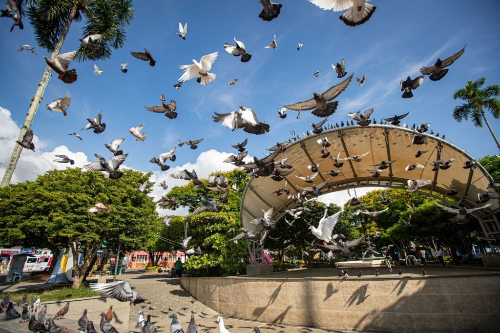 Foto por - El Norte Hoy